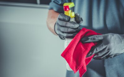 Ny entreprenör: Maries.se Puts och Städ
