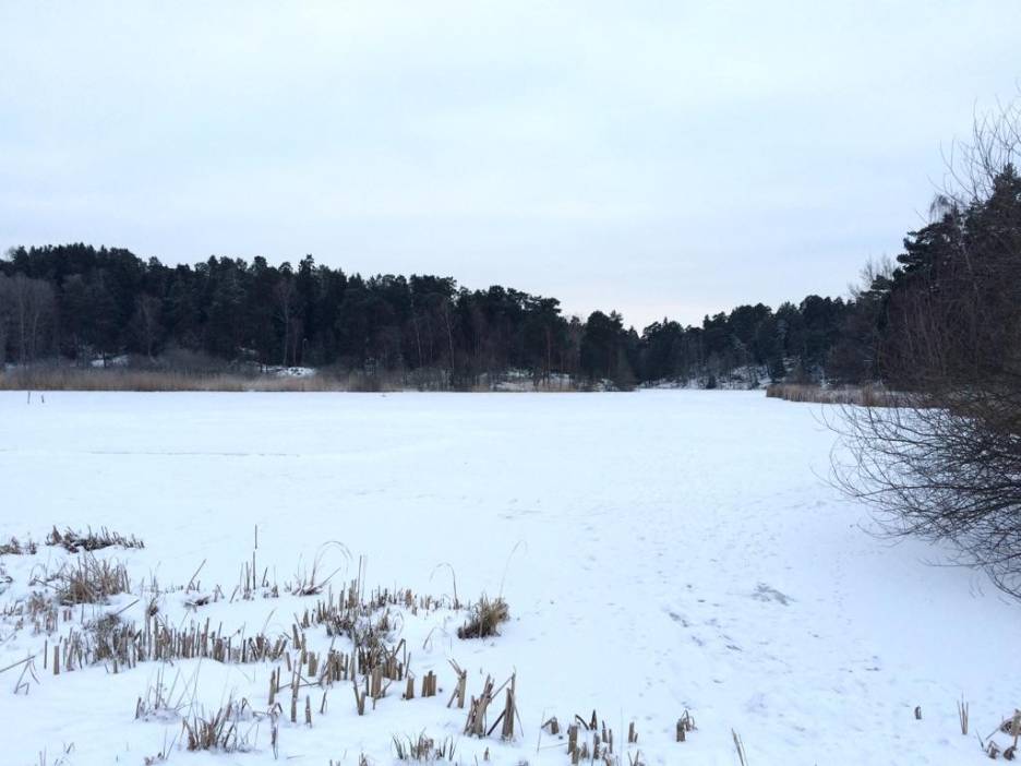 Nu ska Råcksta träsk plogas