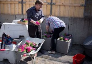 svavlet4_12maj2013_04
